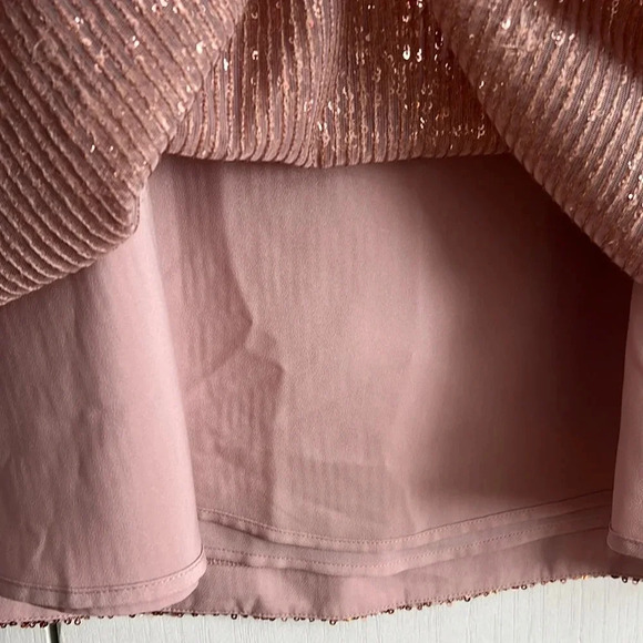 Loft Rose Gold Mesh Sequin Midi A-Line Skirt Lined Side Zip Size 10P NWT - Picture 5 of 12